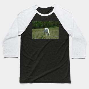 Wild Horse Baseball T-Shirt